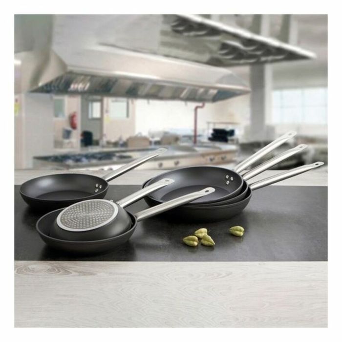 Poêle anti-adhésive Quid Professional Gastrum Métal Acier 4