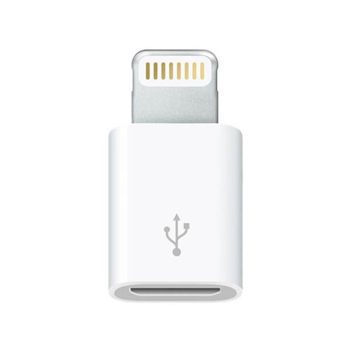 Adaptateur Micro USB vers Lightning Apple MD820ZM/A 1