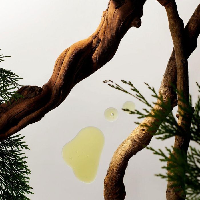 Rituals Homme Recharge Désodorisant Voiture 2 X 3 gr 2