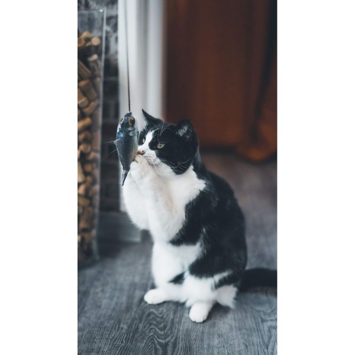 Jouet pour chats Aimé Bois 4