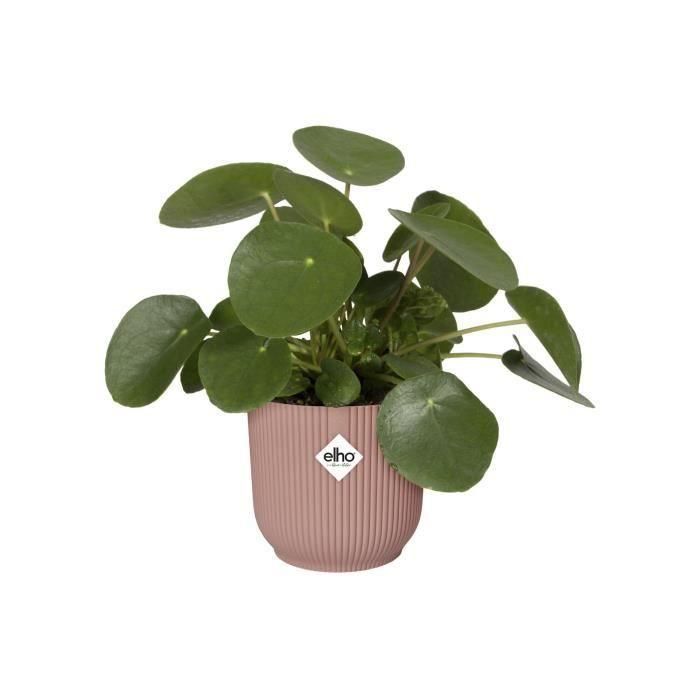 ELHO Pot de fleurs rond avec roues Vibes Fold - Ø 35 x H 32 cm - Intérieur - 100% recyclé - Rose 2 ELHO Pot de fleurs rond avec roues Vibes Fold - Ø 35 x H 32 cm - Intérieur - 100% recyclé - Rose 2