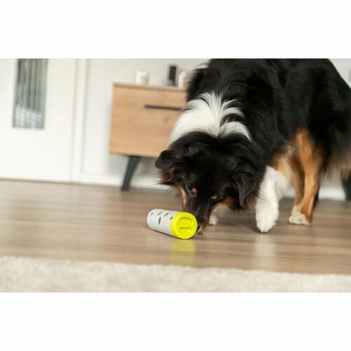 Jouet de dressage Trixie Snacks 5