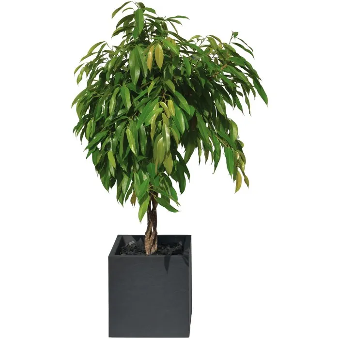 Eda - Pot de fleurs carré Volcania 40 cm - Intérieur/Extérieur - Décor pierre - Gris anthracite - 31L (39.5x39.5x43.5 cm) - Label Origine France Garantie