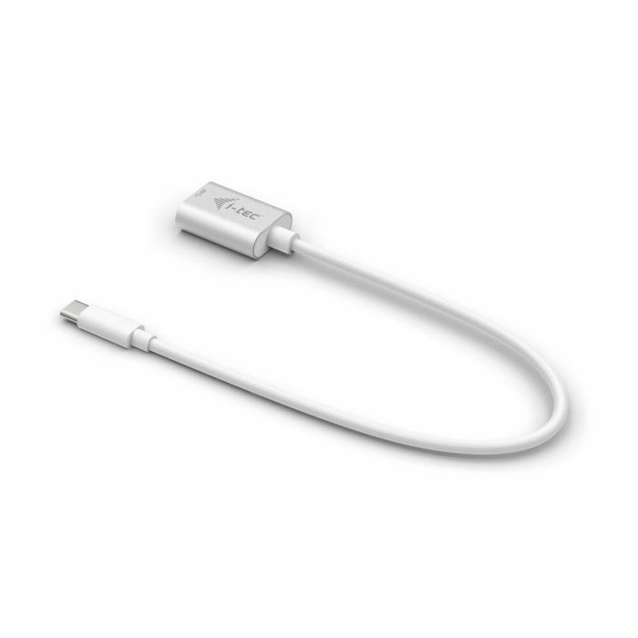 Câble USB A vers USB C i-Tec C31ADA 20 cm 1