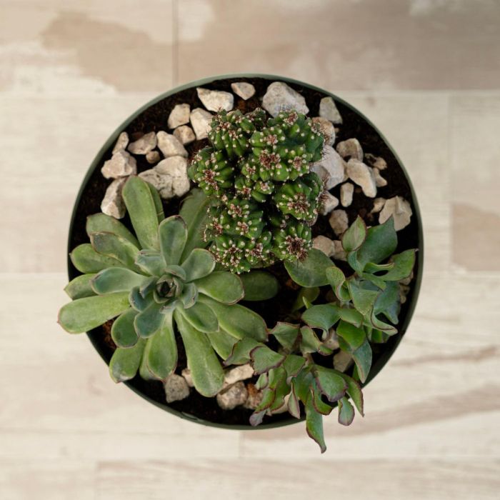 Soporte con Macetero Moa Vinthera 20x20x30 cm 4