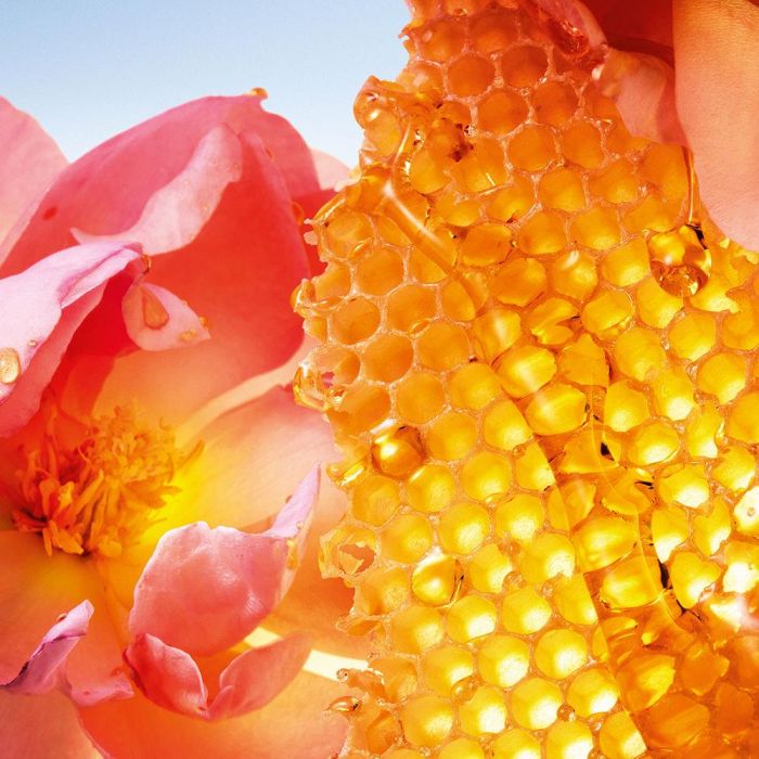 Guerlain La Petite Robe Noire Miel Rose Edp Vapo 50 mL 1