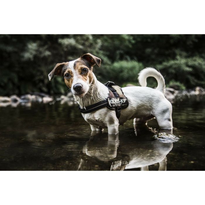 Harnais pour Chien Julius K9 Power XL 3 1
