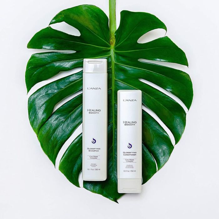 Shampooing hydratant L'ANZA Healing Moisture 300 ml Cheveux secs 1 Shampooing hydratant L'ANZA Healing Moisture 300 ml Cheveux secs 1