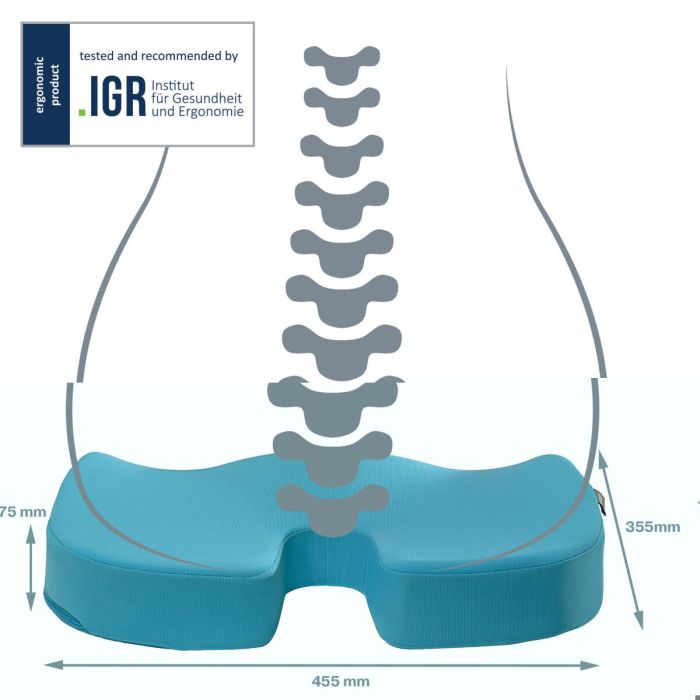 Coussin de chaise Leitz 2