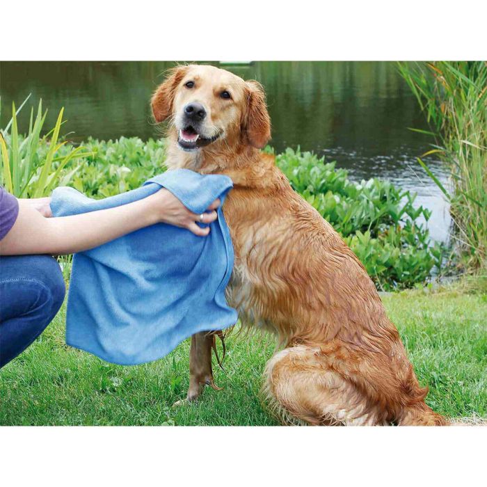 Serviette en Microfibre Trixie Bleu 50 × 60 cm 1