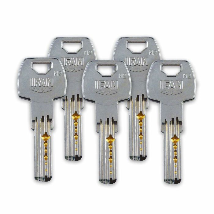 Serrure de sécurité IFAM CS88L M50 Acier Laiton 1