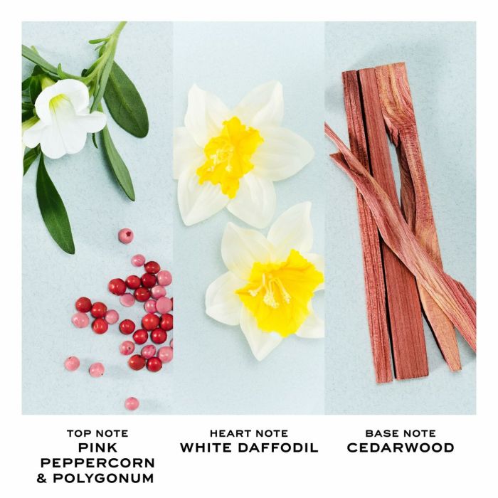 Parfum Femme Marc Jacobs PERFECT EDT 50 ml 8