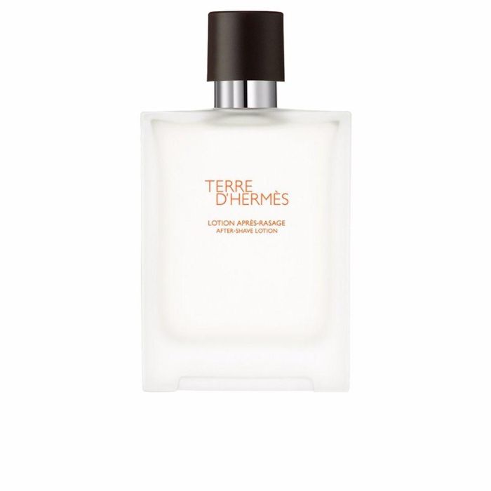 Terre D'Hermès As 100 mL