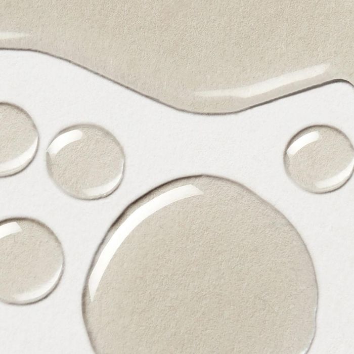 Elemis Body Exotics Mélange D'Huiles Corporelles Au Camélia Japonais 100 mL 2 Elemis Body Exotics Mélange D'Huiles Corporelles Au Camélia Japonais 100 mL 2