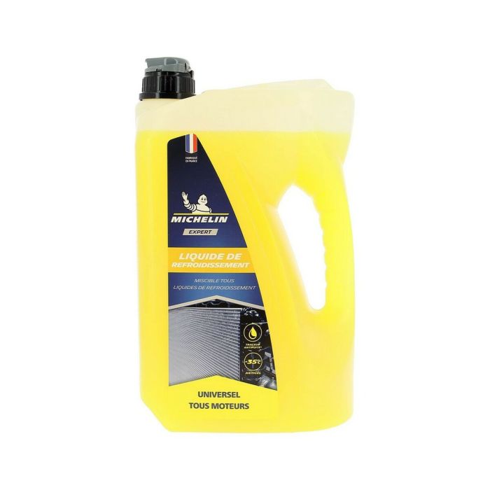 Antigel Michelin IMP009214 4 L 0 Antigel Michelin IMP009214 4 L 0