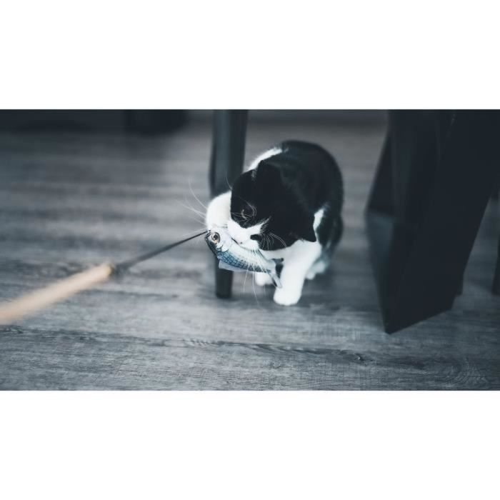 Jouet pour chats Aimé Bois 9