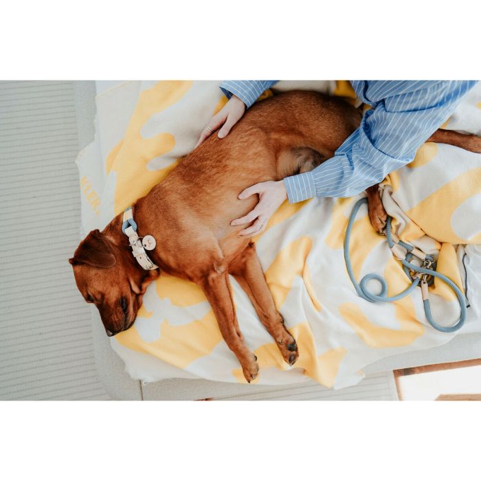 Collier pour Chien Hunter Malia Bleu L 50-59 cm 1