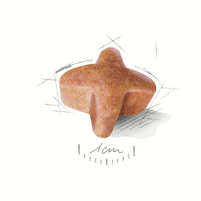 Nourriture Royal Canin German Shepherd Adult 11kg Adulte Poulet Riz Légumes Oiseaux 11 Kg 1 Nourriture Royal Canin German Shepherd Adult 11kg Adulte Poulet Riz Légumes Oiseaux 11 Kg 1