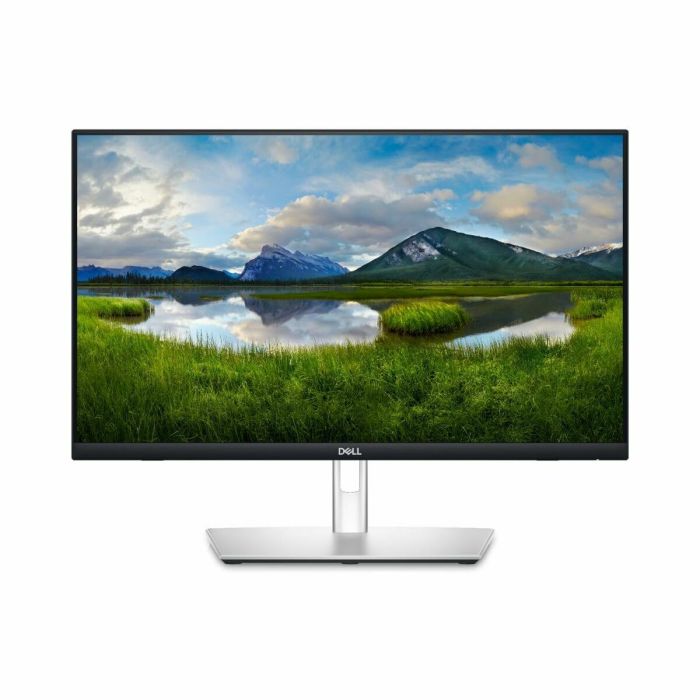 Écran Dell P2424HT Full HD 23,8" 65