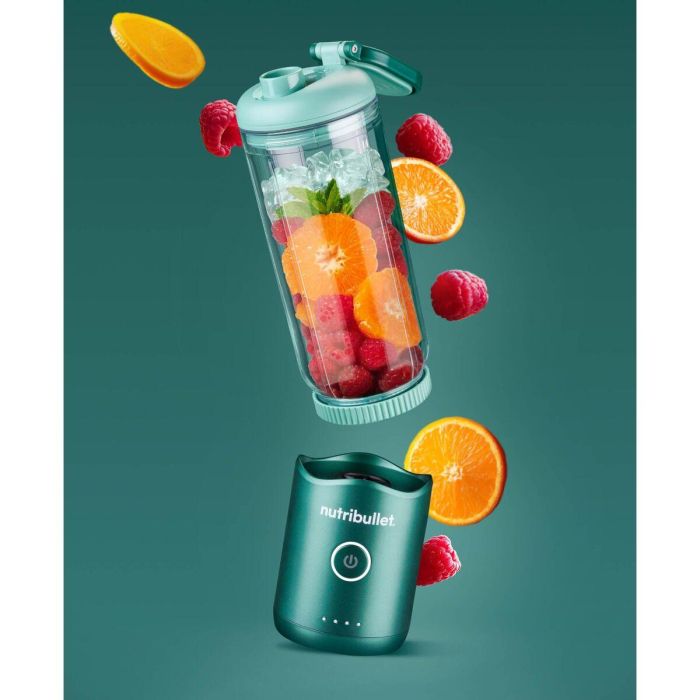 Bol mixeur Nutribullet NBP013GR Vert 10