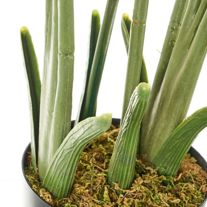 Plante décorative Polyéthylène Plastique Palmier 45 x 45 x 114 cm 2 Plante décorative Polyéthylène Plastique Palmier 45 x 45 x 114 cm 2