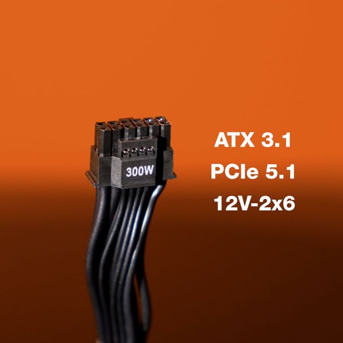 Bloc d’Alimentation Be Quiet! BP002EU ATX 650 W 80 Plus Gold 10 Bloc d’Alimentation Be Quiet! BP002EU ATX 650 W 80 Plus Gold 10