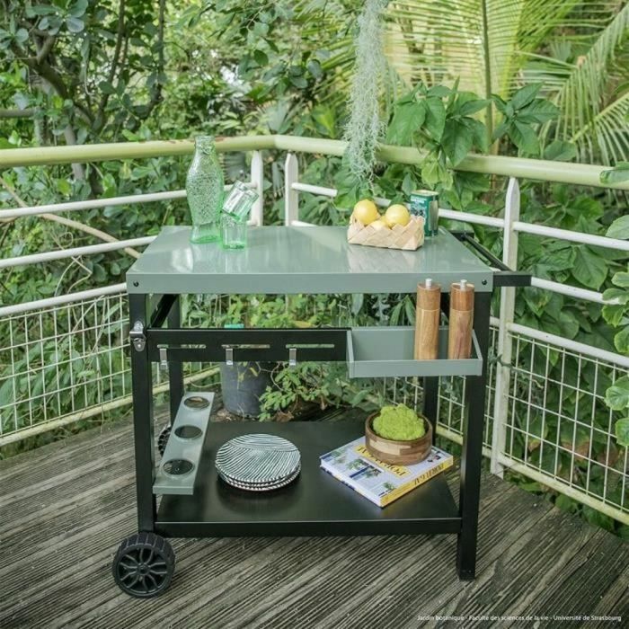 Livoo Dessert Pour Plancha GS167V avec Deux Plateaux, 81.5 cm de Hauteur, Acier Peint, Vert/Noir