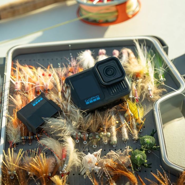 Camescope de surveillance GoPro AEBAT-001 2