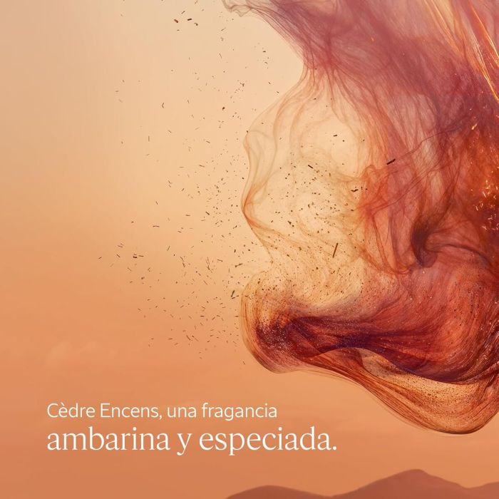 Gel de douche L'Occitane En Provence CÉDRE ENCENS 1 Gel de douche L'Occitane En Provence CÉDRE ENCENS 1