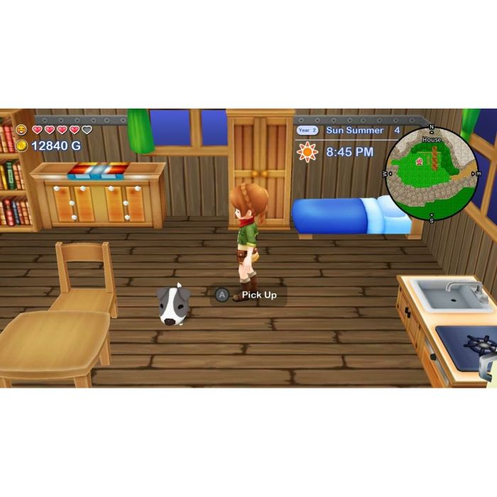 Jeu vidéo pour Switch Just For Games Harvest Moon The Lost Valley & Skytree Village 10