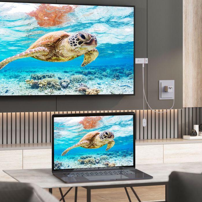 Câble Audio Jack (3,5 mm) j5create JVAW76-N 1 m 3