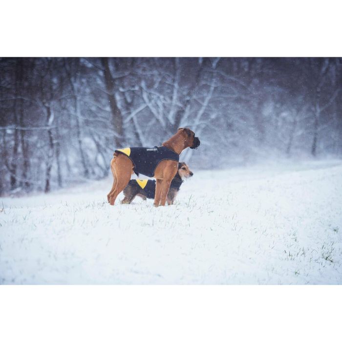 Harnais pour Chien Julius K9 IDC L/XL 2 7 Harnais pour Chien Julius K9 IDC L/XL 2 7