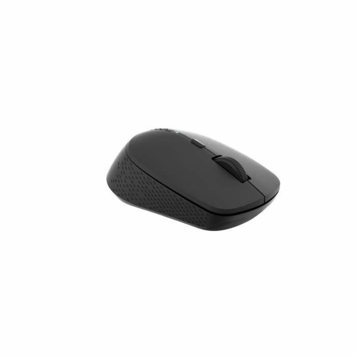 Souris sans-fil Rapoo 00184341 Noir 1600 dpi 10