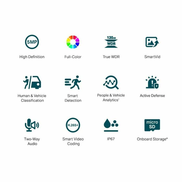 Camescope de surveillance TP-Link VIGI C350(2.8MM) 12