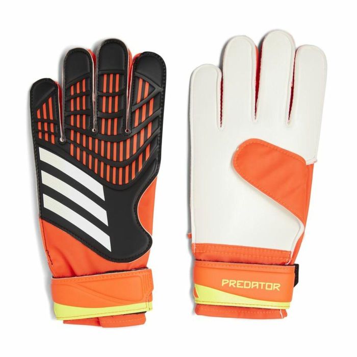 Gants de Gardien de But Adidas Predator Trn Noir Adultes