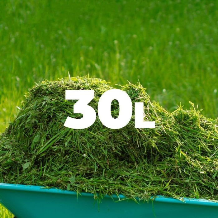 Tondeuse à gazon à batterie Cecotec E1 Liberty 20 V 32 cm 20-70 mm 30 L 8 Tondeuse à gazon à batterie Cecotec E1 Liberty 20 V 32 cm 20-70 mm 30 L 8