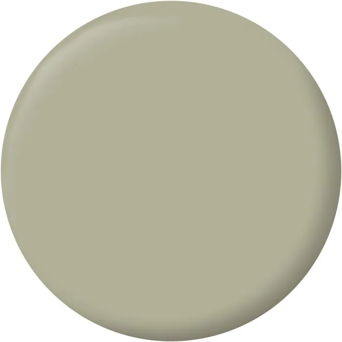 Ripolin Peinture pour Meubles et Objets Vert Gaspésie Satiné 0.5 L - Application sans sous-couche, pour intérieur et extérieur, à base d'ingrédients biosourcés Ripolin Peinture pour Meubles et Objets Vert Gaspésie Satiné 0.5 L - Application sans sous-couche, pour intérieur et extérieur, à base d'ingrédients biosourcés