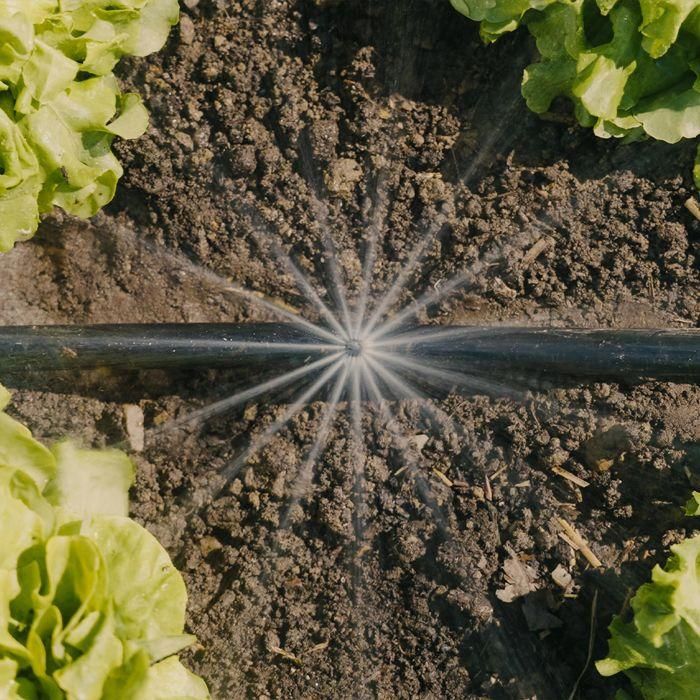 Kit d'initiation pour potagers GARDENA - jusqu'a 60m² - 13450-20 3