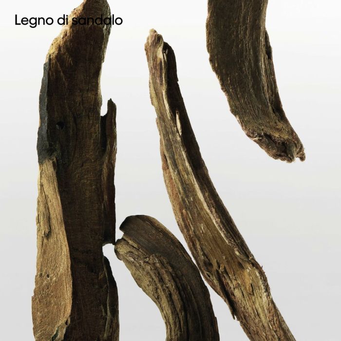 Parfum Unisexe Calvin Klein CK Ck One Essence 100 ml 6