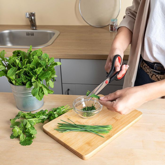 Tijeras Acero Inoxidable Rico Quid 21 cm 1 Tijeras Acero Inoxidable Rico Quid 21 cm 1