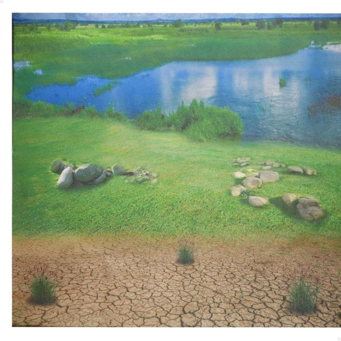 Set Animaux Sauvages Colorbaby Plastique 13 x 12 x 5 cm (4 Unités) 4