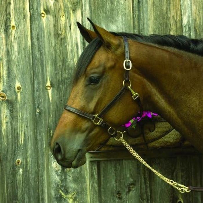 Bague Femme Majorica 17218.01.1.913.010.1 0 Bague Femme Majorica 17218.01.1.913.010.1 0