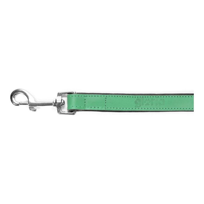 Laisse pour Chien Gloria 1.8 x 100 cm Vert 5 Laisse pour Chien Gloria 1.8 x 100 cm Vert 5