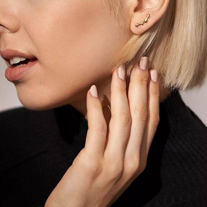 Boucles d´oreilles Femme Skagen SKJ1773710 1 Boucles d´oreilles Femme Skagen SKJ1773710 1