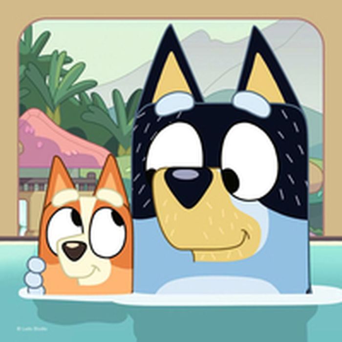 Set de 3 Puzzles Ravensburger 147 Pièces 12