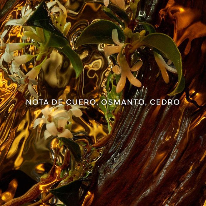 Guerlain Absolus Allegoria Cuir Intense Edp Vapo 125 mL 2