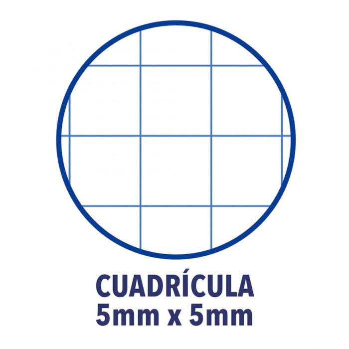 Cahier Oxford European Book Fuchsia A4 A4+ 80 Volets 5 Pièces 1 Cahier Oxford European Book Fuchsia A4 A4+ 80 Volets 5 Pièces 1