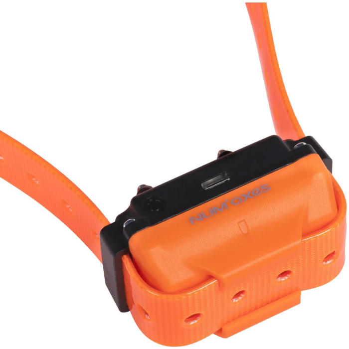 Num'Axes Collier de Dressage Canicom R pour Chien, Rechargeable, Orange