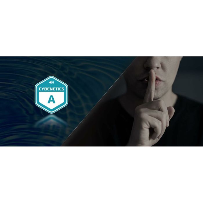 Bloc d’Alimentation ASRock 90-UXS100-GFEABA 1000 W 80 Plus Gold 2