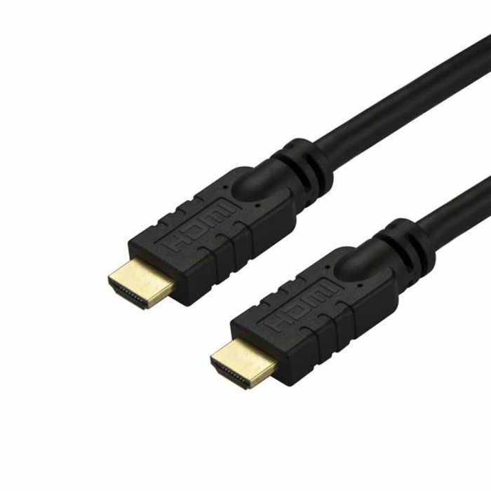 Câble HDMI Startech HD2MM10MA Noir 10 m 1